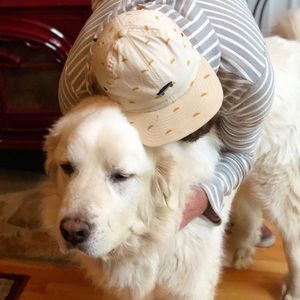 Meet your Posher, Steve